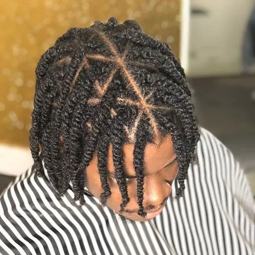 Twist Hairstyles For Men